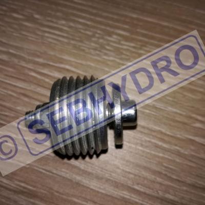 Clapet parachute hydraulique