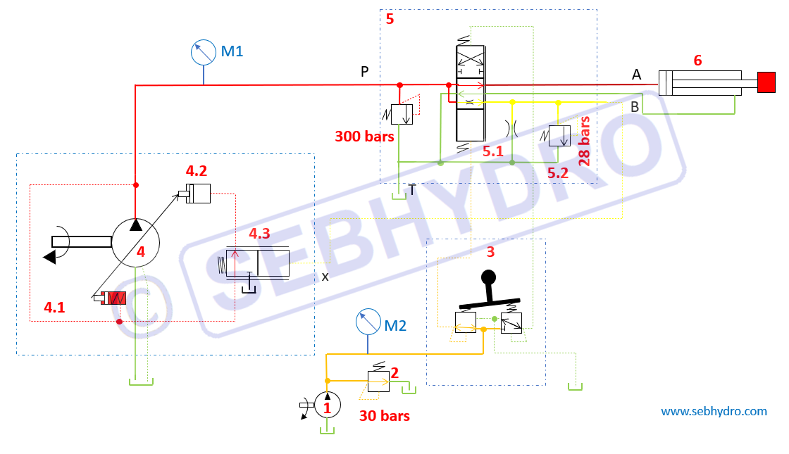pompe Negative control